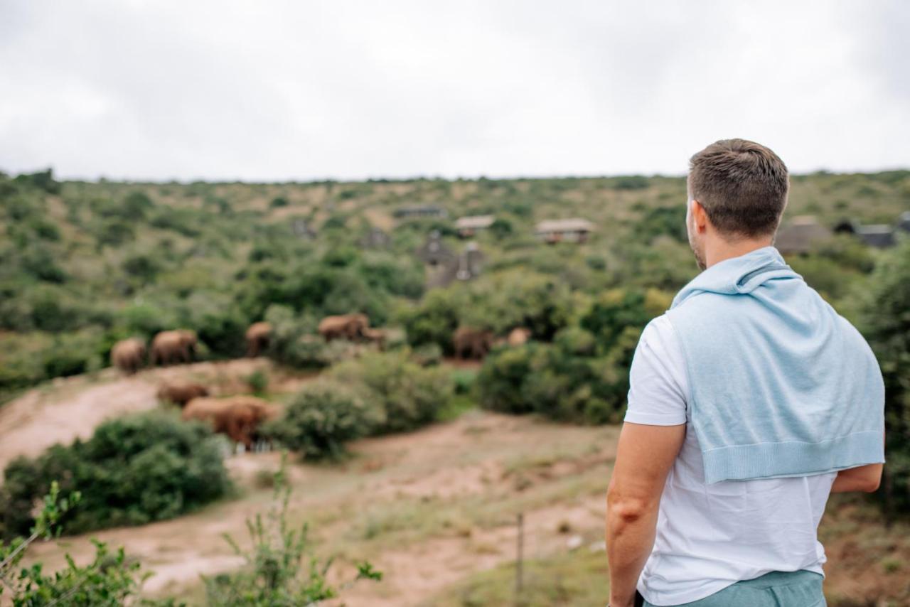 Bukela Game Lodge - Amakhala Game Reserve Ngoại thất bức ảnh