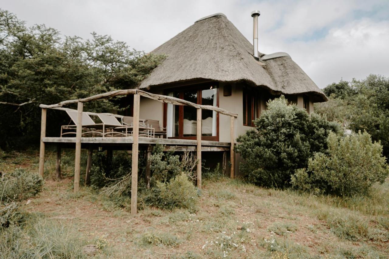 Bukela Game Lodge - Amakhala Game Reserve Ngoại thất bức ảnh