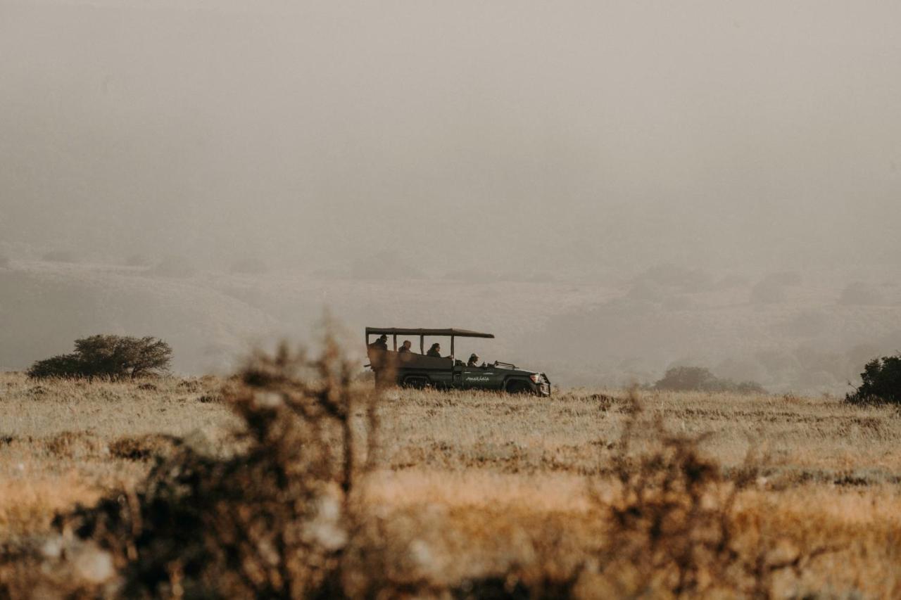Bukela Game Lodge - Amakhala Game Reserve Ngoại thất bức ảnh