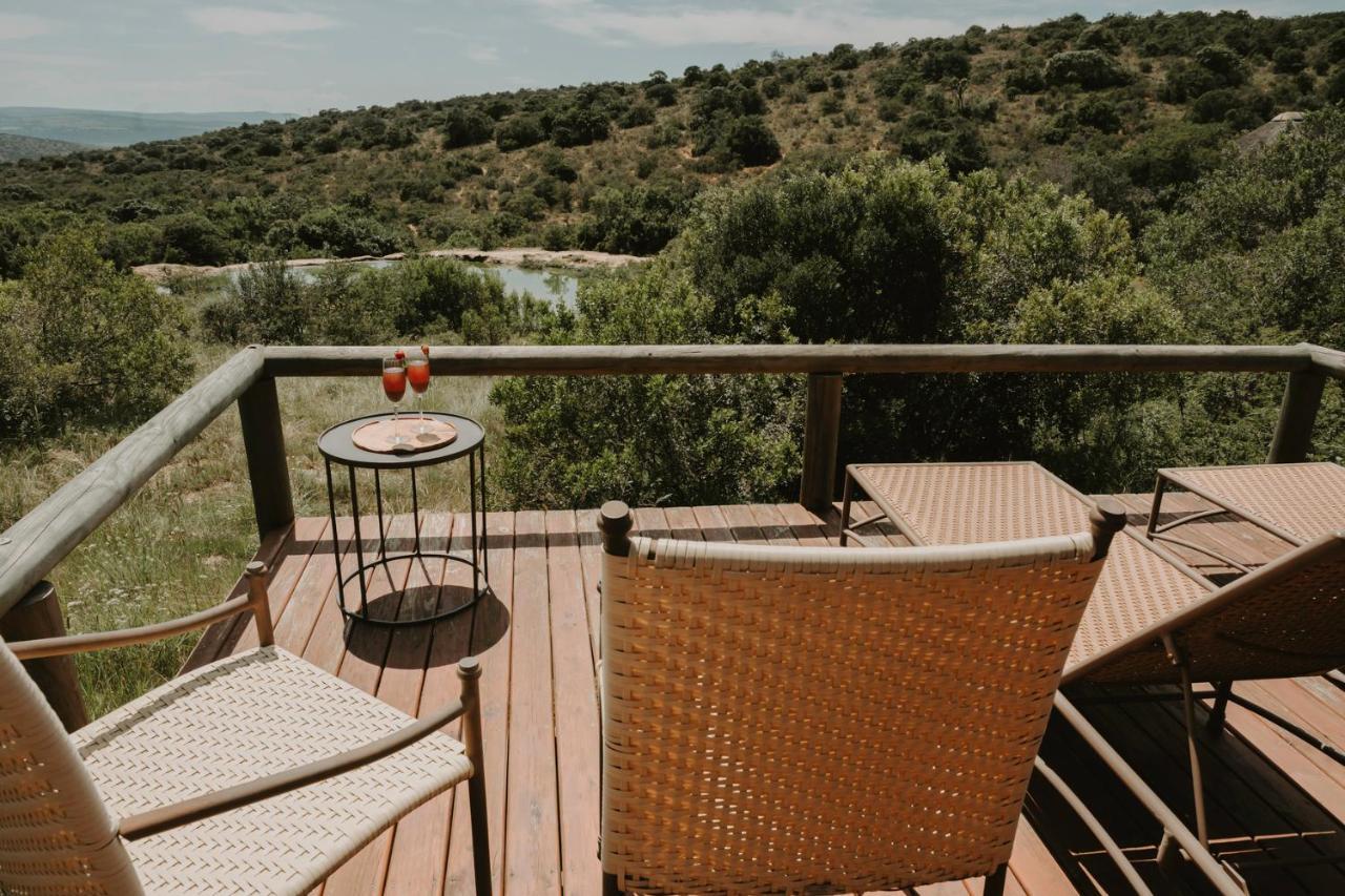 Bukela Game Lodge - Amakhala Game Reserve Ngoại thất bức ảnh
