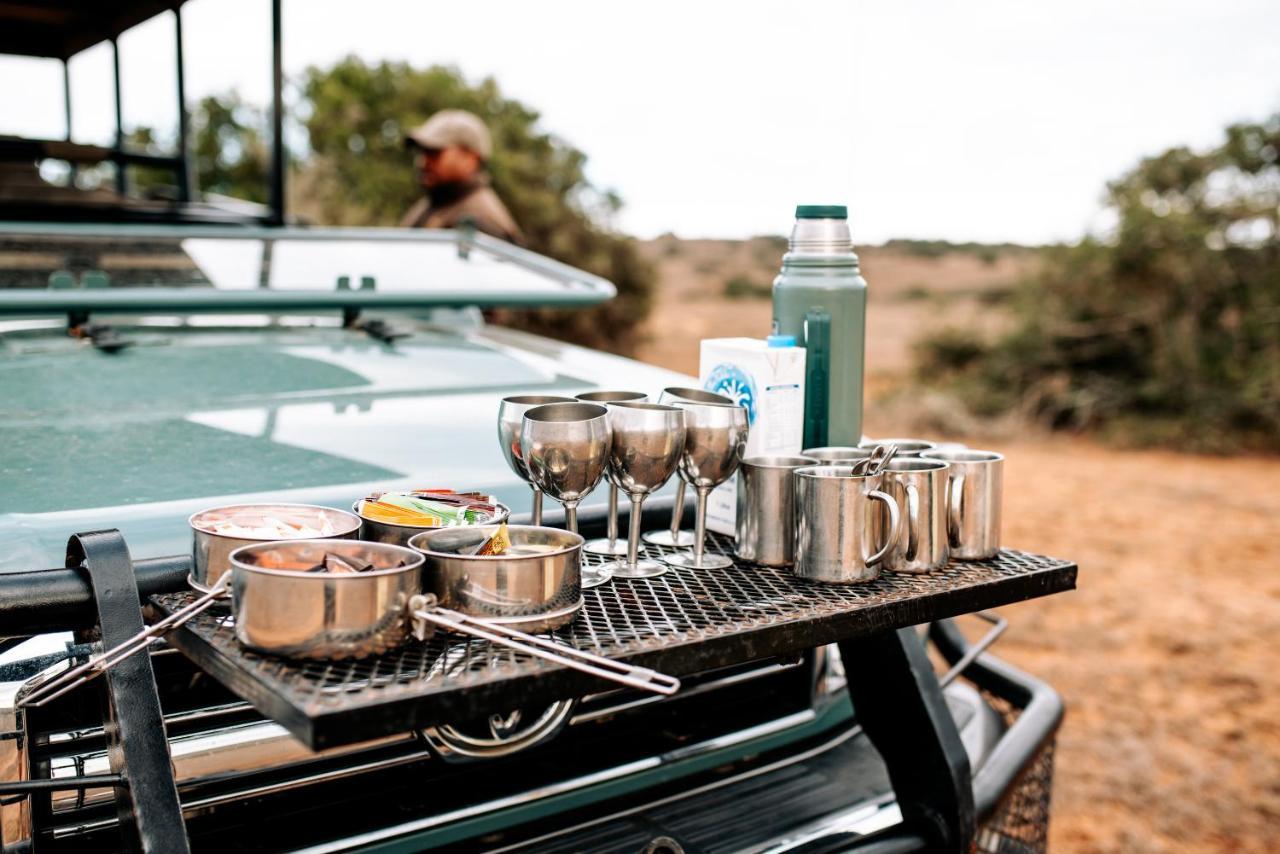 Bukela Game Lodge - Amakhala Game Reserve Ngoại thất bức ảnh