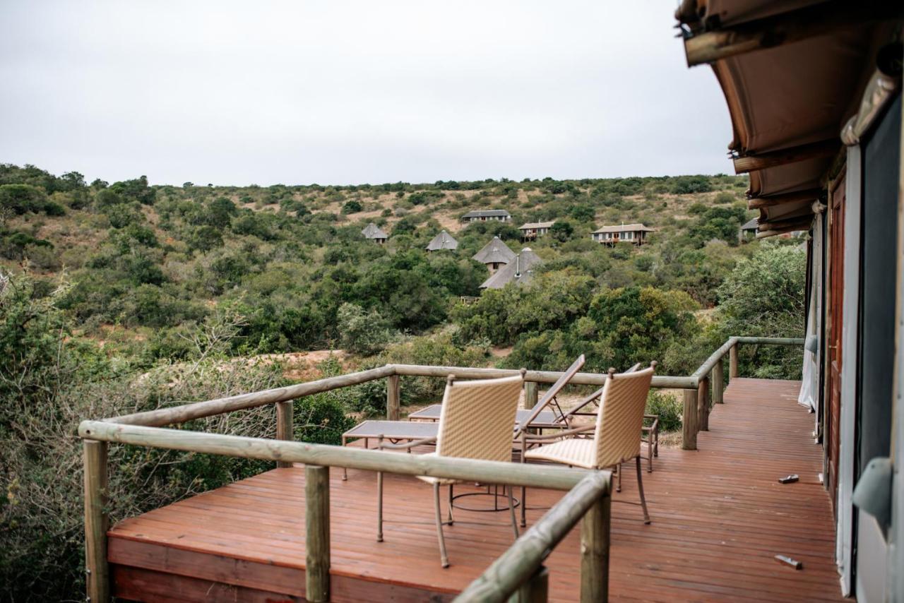 Bukela Game Lodge - Amakhala Game Reserve Ngoại thất bức ảnh
