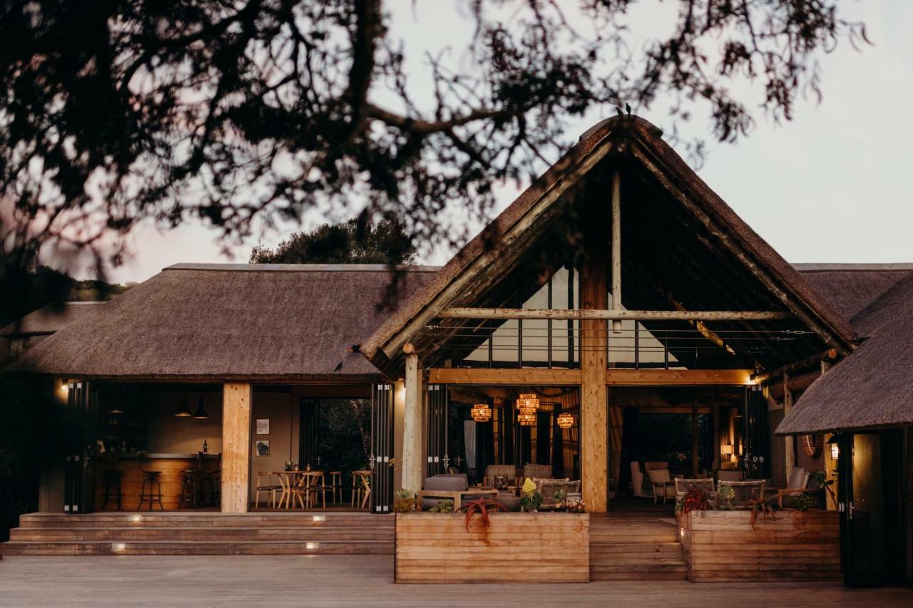 Bukela Game Lodge - Amakhala Game Reserve Ngoại thất bức ảnh